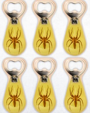 Spider Bottle Opener
