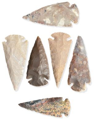3" SHOWCASE ARROWHEAD