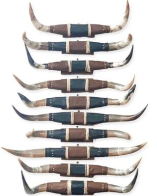HOT SELLER!! 3 PACK Polished Mounted Horns,