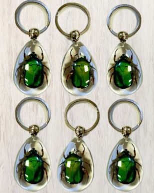 Beetle Keyring,