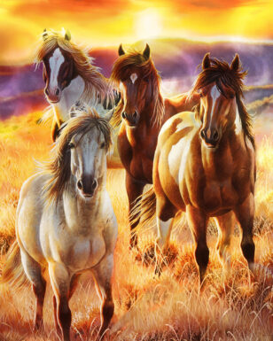 Plush Pictorial Queen-Size Blanket - Sunrise Beauties