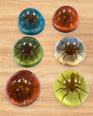 Half Dome Spider Paperweight