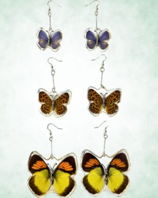 6 Pair Real Butterfly Wing Earrings