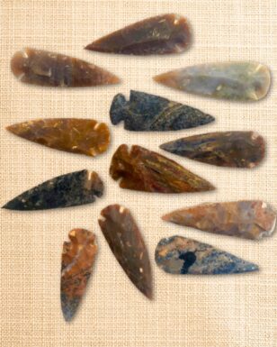 4" SHOWCASE ARROWHEAD