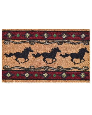 Outdoor Coir Mat, design #301