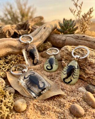 Black Scorpion Keychain