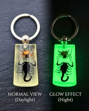 Scorpion/Spider Keychain