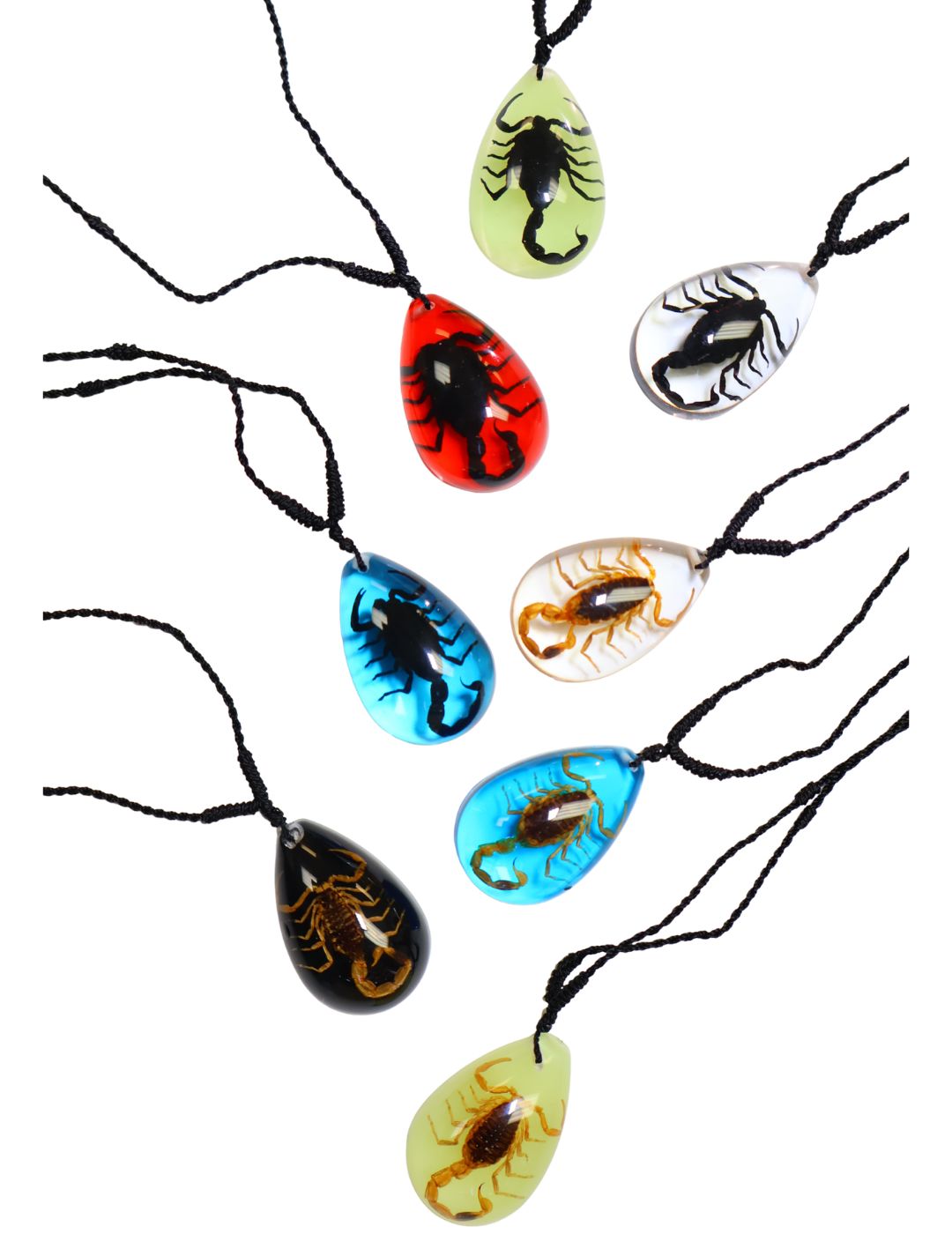 Real Scorpion Necklace - Image 3