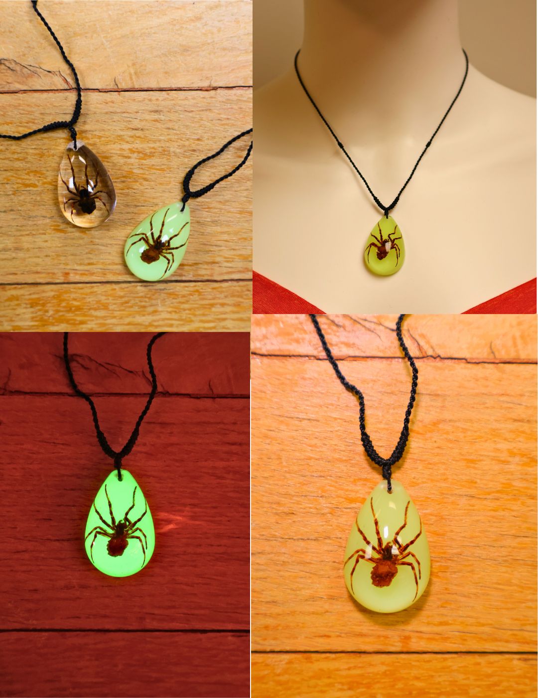 Real Spider Necklace - Image 2